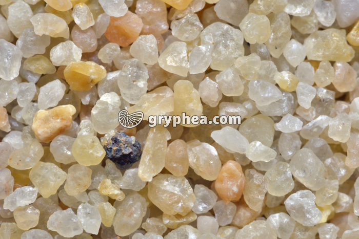 Sable de Loire tamisé x2 - gryphea.com